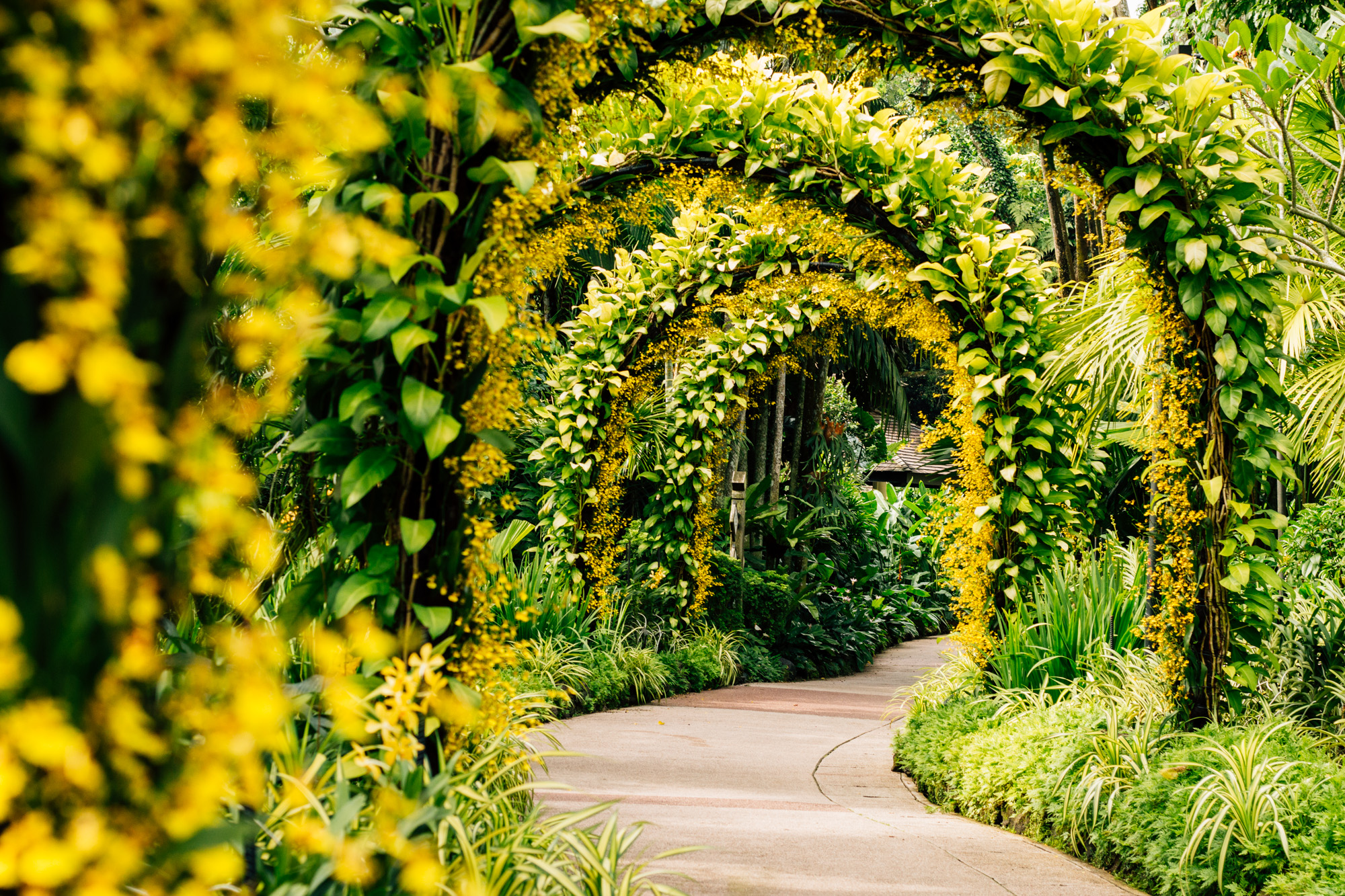 Botanical Garden, Singapore