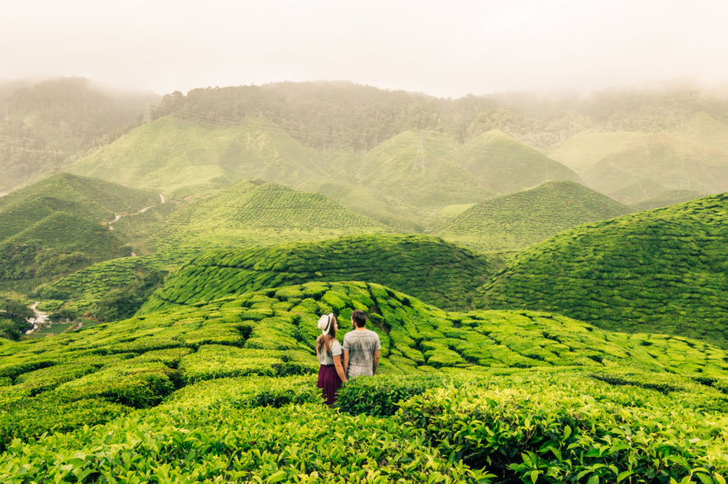 Cameron Highlands, Malaysia