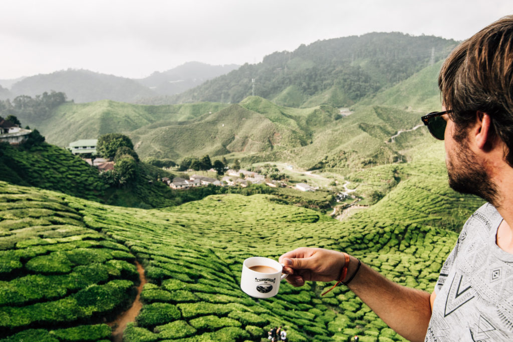 Cameron Bharat Tea Plantation, Malaysia