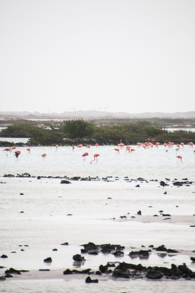 Bonaire