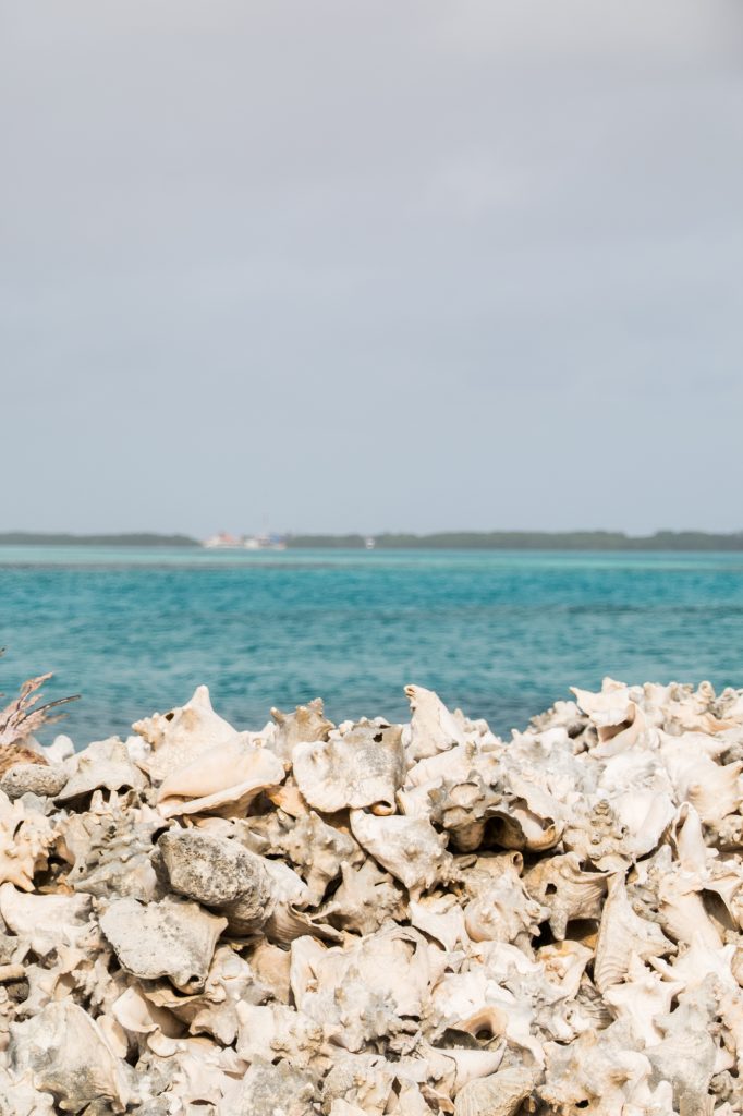 Bonaire