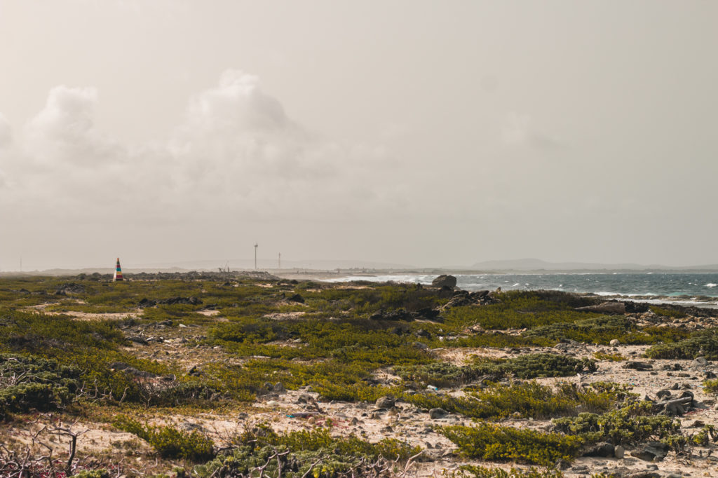 The wild south, Bonaire