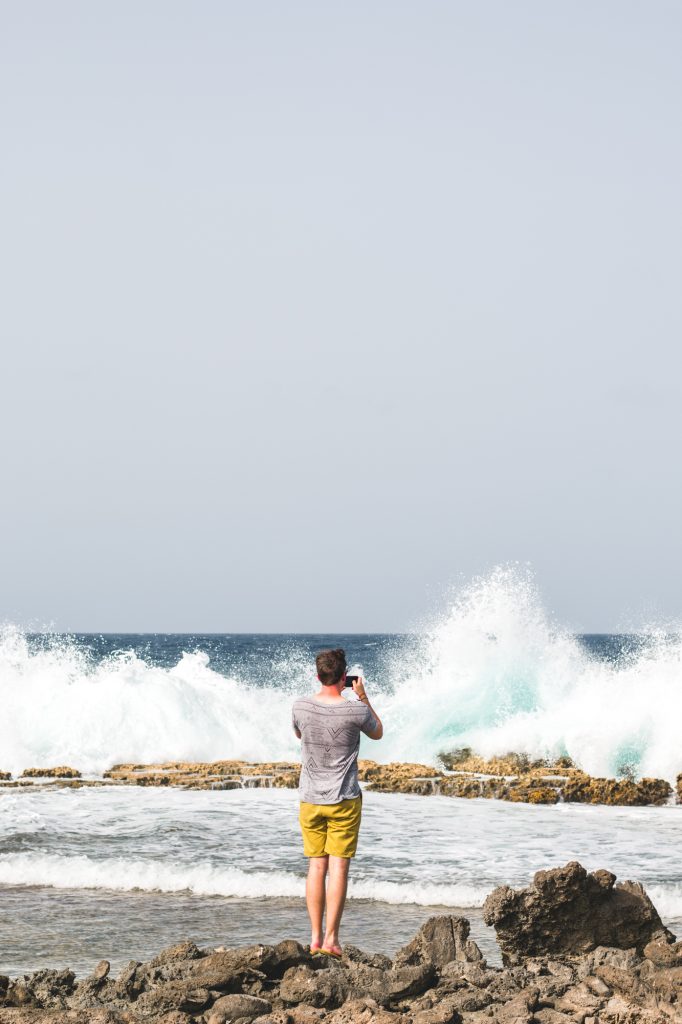 The wild south, Bonaire