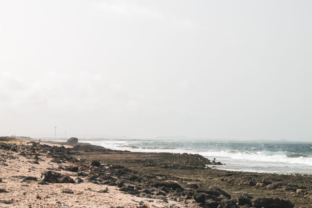 The wild south, Bonaire