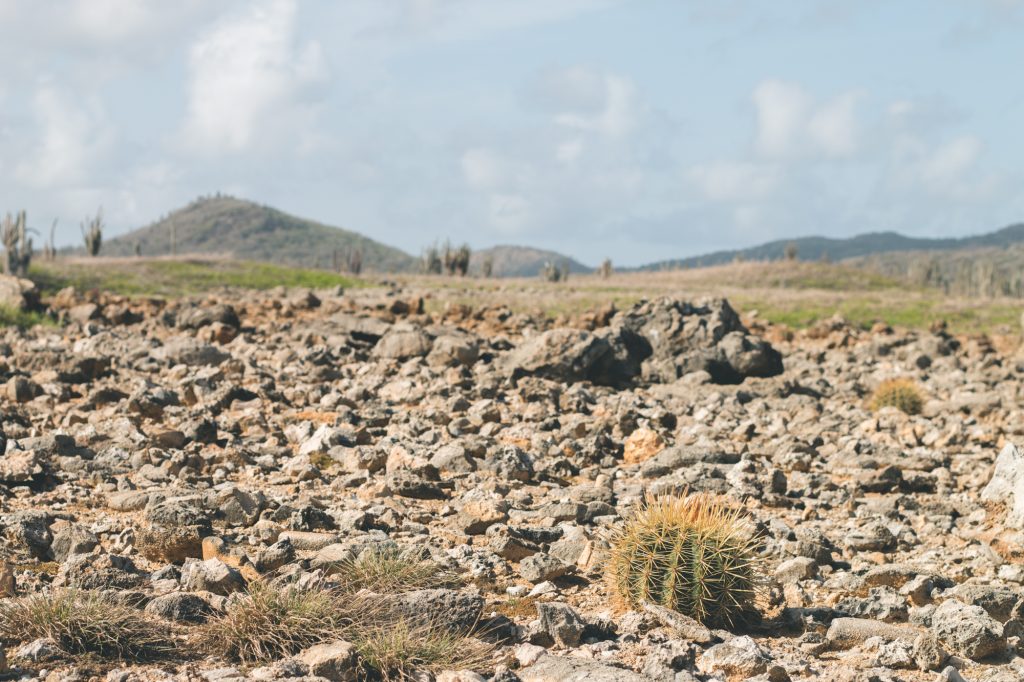 Washington Slagbaai National Park, Bonaire