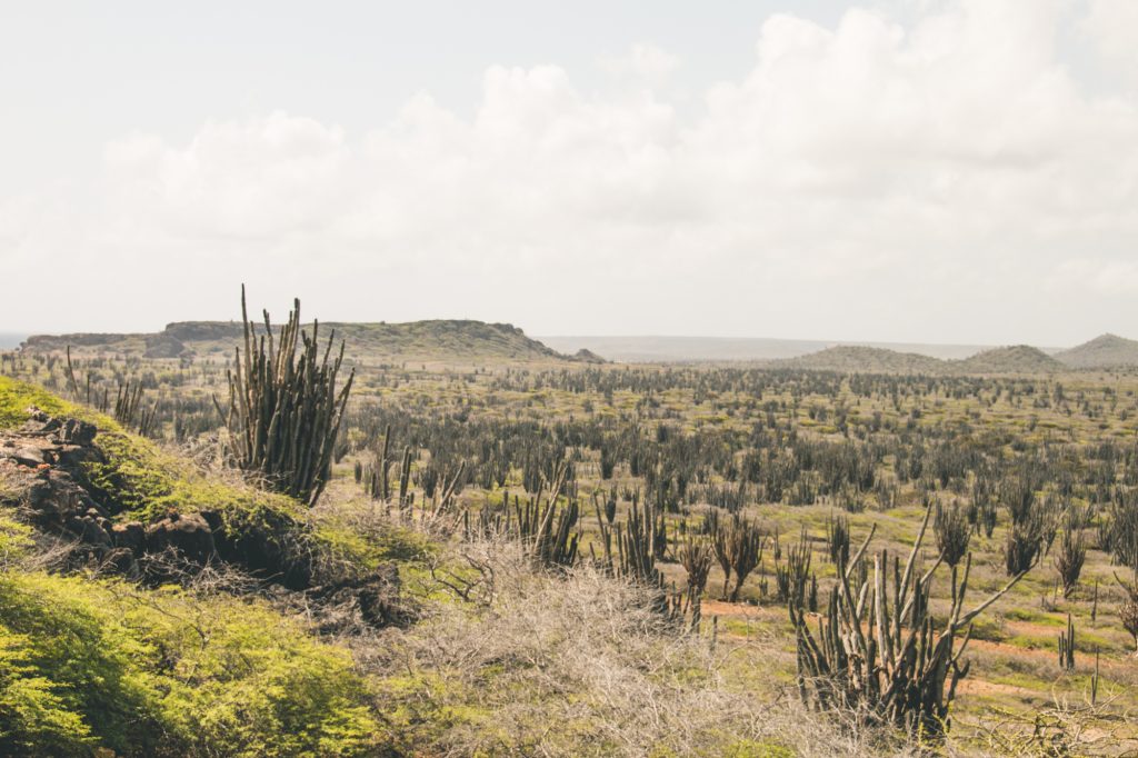 Washington Slagbaai National Park, Bonaire