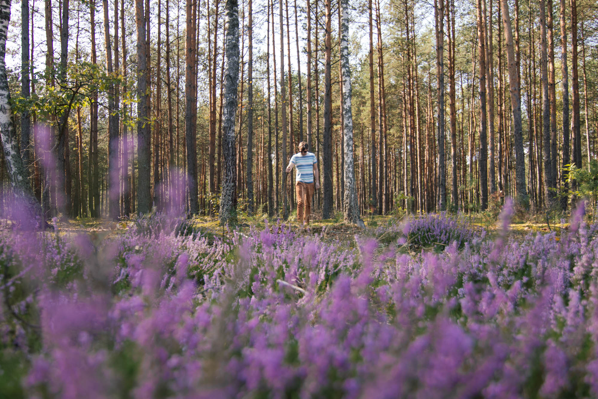 Siedlisko Sobibór, Poland