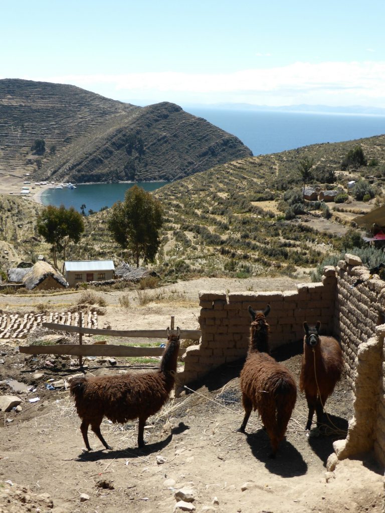 Lake Titicaca, Bolivia