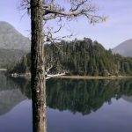 Parque Llao Llao, Argentina